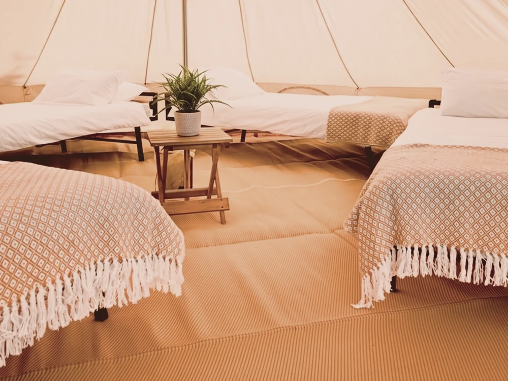 Bell tent set up with four single beds around a central wooden side table and plant.