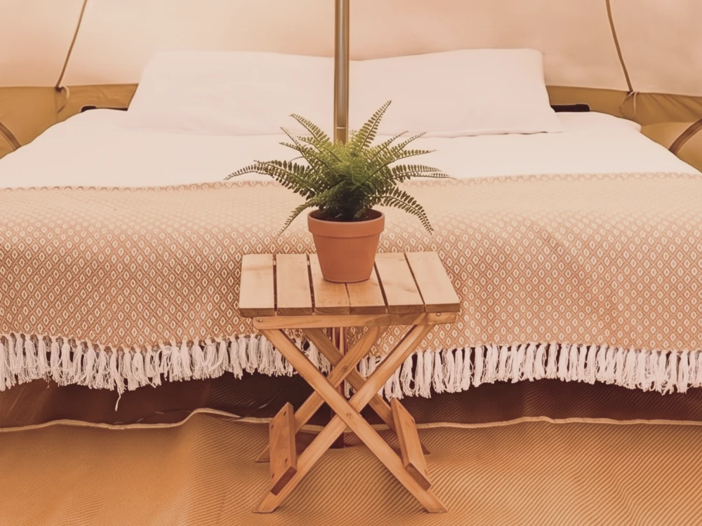 Bell tent set up with one super king bed, a fern on a small wooden side table in front.